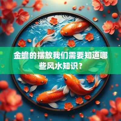 金蟾的摆放我们需要知道哪些风水知识？