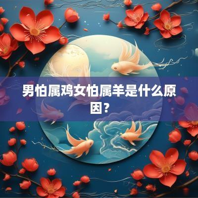 男怕属鸡女怕属羊是什么原因？