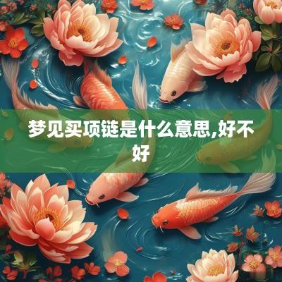 梦见买项链是什么意思,好不好