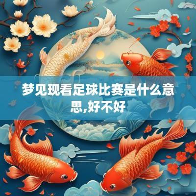 梦见现看足球比赛是什么意思,好不好