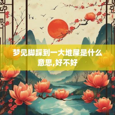 梦见脚踩到一大堆屎是什么意思,好不好