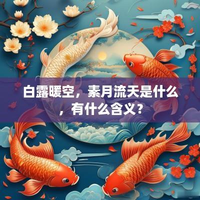 白露暖空，素月流天是什么，有什么含义？