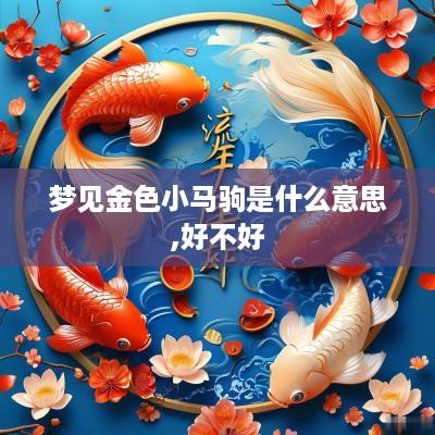 梦见金色小马驹是什么意思,好不好