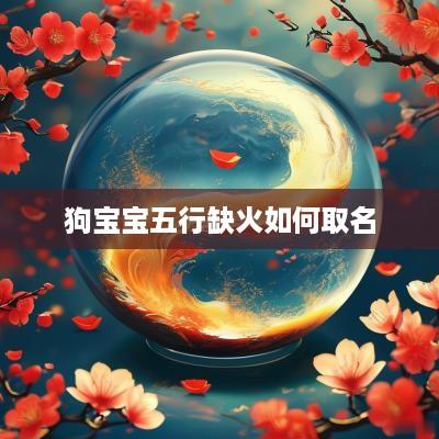 狗宝宝五行缺火如何取名