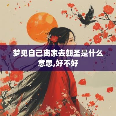 梦见自己离家去朝圣是什么意思,好不好