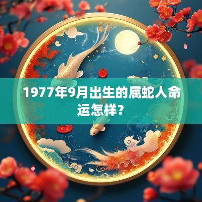 1977年9月出生的属蛇人命运怎样？