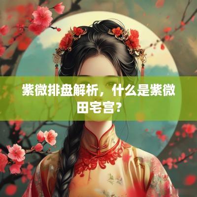 紫微排盘解析，什么是紫微田宅宫？