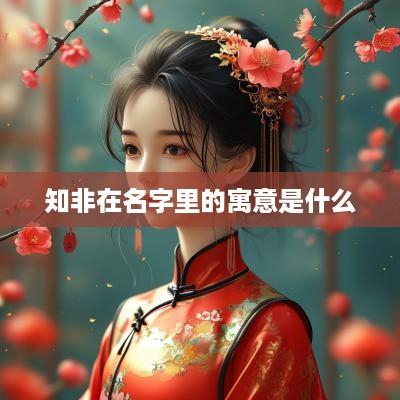 知非在名字里的寓意是什么