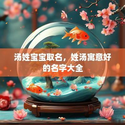 汤姓宝宝取名，姓汤寓意好的名字大全