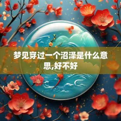 梦见穿过一个沼泽是什么意思,好不好