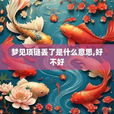 梦见项链丢了是什么意思,好不好