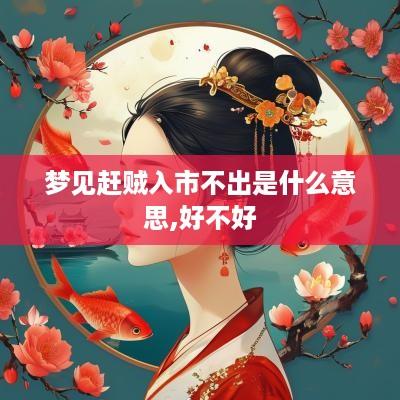梦见赶贼入市不出是什么意思,好不好