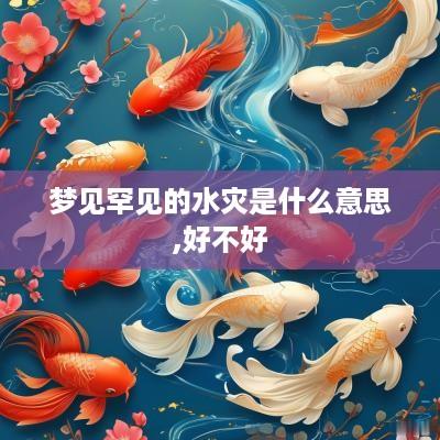 梦见罕见的水灾是什么意思,好不好