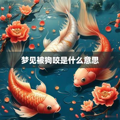 梦见被狗咬是什么意思