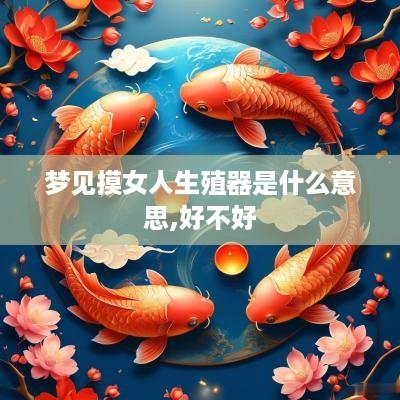 梦见摸女人生殖器是什么意思,好不好