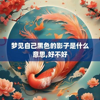 梦见自己黑色的影子是什么意思,好不好