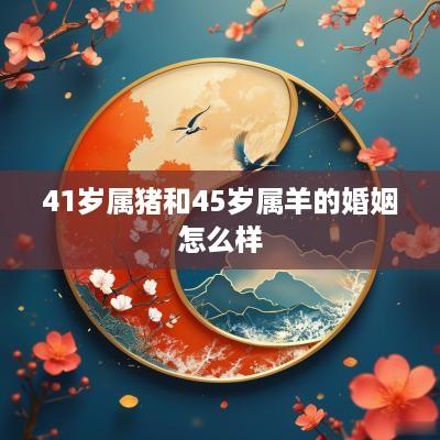 41岁属猪和45岁属羊的婚姻怎么样