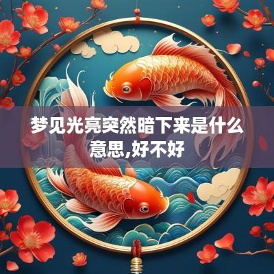 梦见光亮突然暗下来是什么意思,好不好