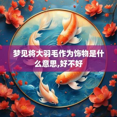 梦见将大羽毛作为饰物是什么意思,好不好