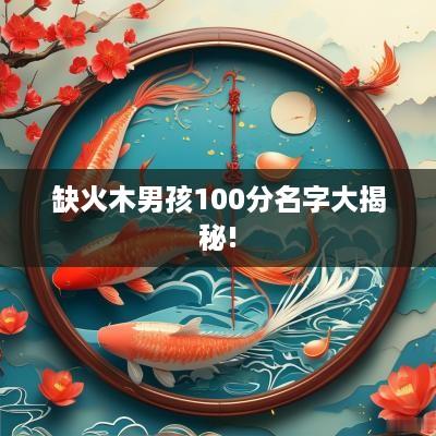 缺火木男孩100分名字大揭秘!