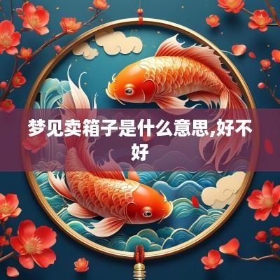 梦见卖箱子是什么意思,好不好