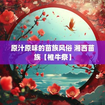 原汁原味的苗族风俗 湘西苗族【椎牛祭】