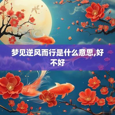 梦见逆风而行是什么意思,好不好
