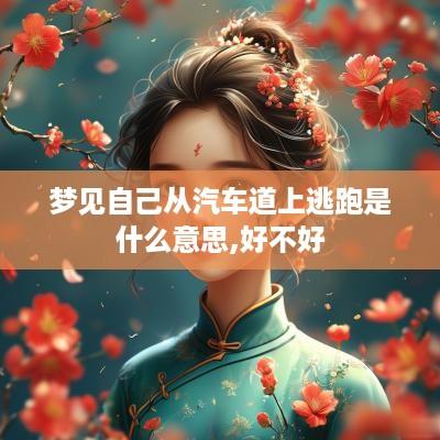 梦见自己从汽车道上逃跑是什么意思,好不好