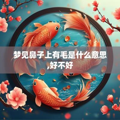 梦见鼻子上有毛是什么意思,好不好