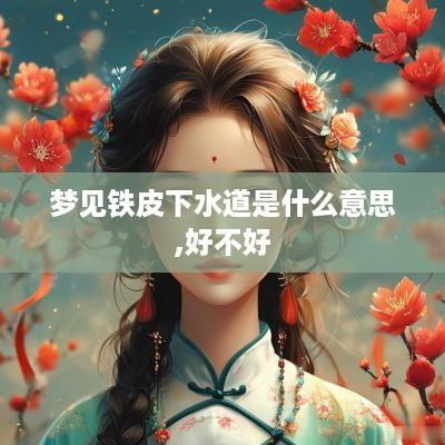 梦见铁皮下水道是什么意思,好不好