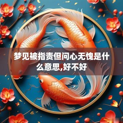 梦见被指责但问心无愧是什么意思,好不好