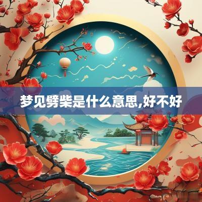 梦见劈柴是什么意思,好不好