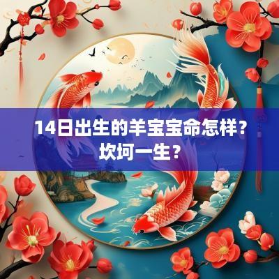 14日出生的羊宝宝命怎样？坎坷一生？