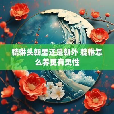 貔貅头朝里还是朝外 貔貅怎么养更有灵性
