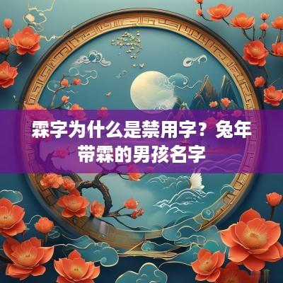 霖字为什么是禁用字？蛇年带霖的男孩名字
