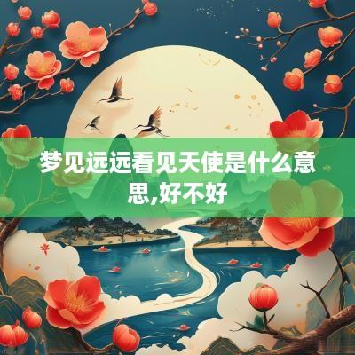 梦见远远看见天使是什么意思,好不好