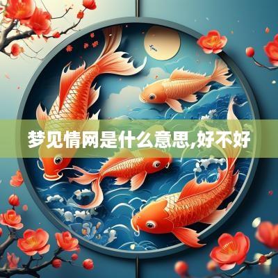 梦见情网是什么意思,好不好