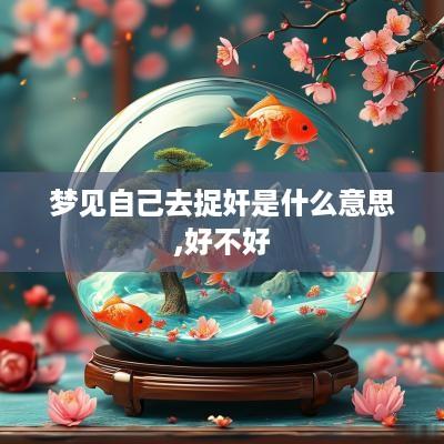 梦见自己去捉奸是什么意思,好不好