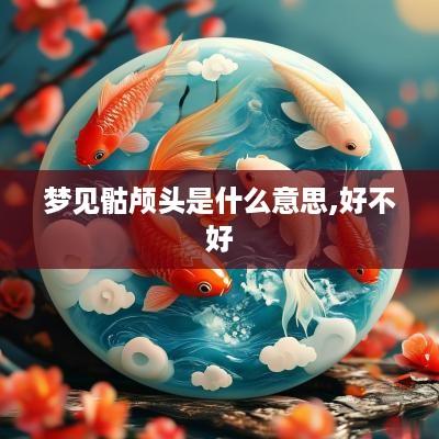 梦见骷颅头是什么意思,好不好