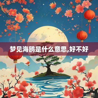 梦见海鸥是什么意思,好不好
