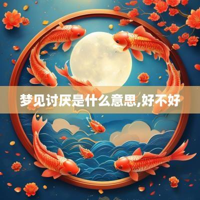 梦见讨厌是什么意思,好不好