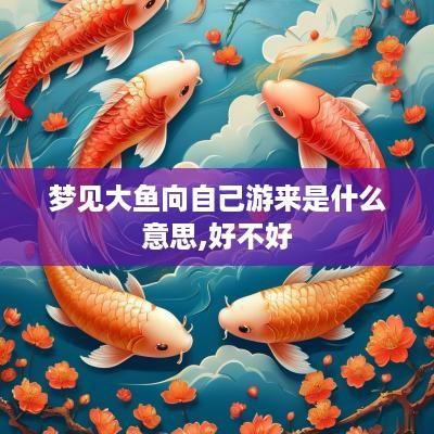 梦见大鱼向自己游来是什么意思,好不好