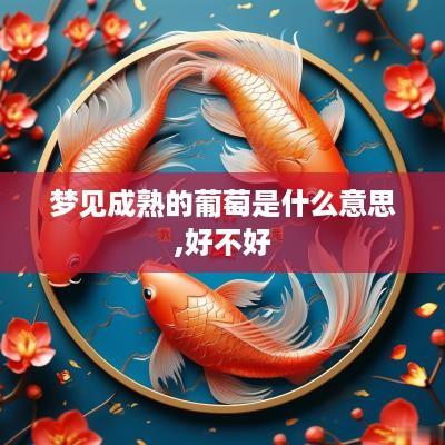 梦见成熟的葡萄是什么意思,好不好