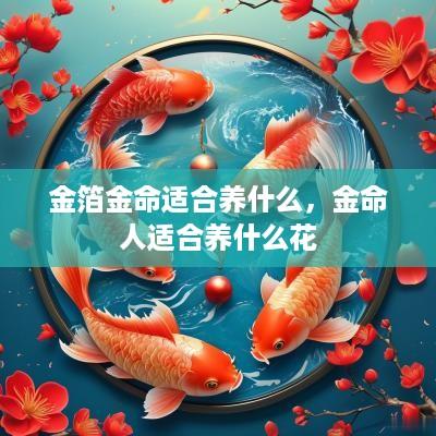 金箔金命适合养什么，金命人适合养什么花