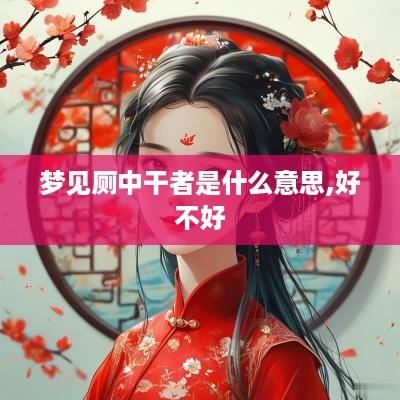 梦见厕中干者是什么意思,好不好
