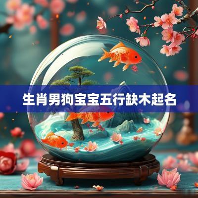 生肖男狗宝宝五行缺木起名