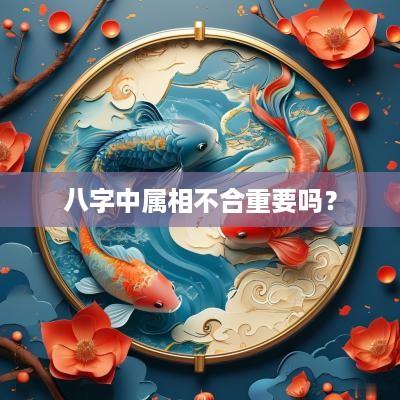 八字中属相不合重要吗？