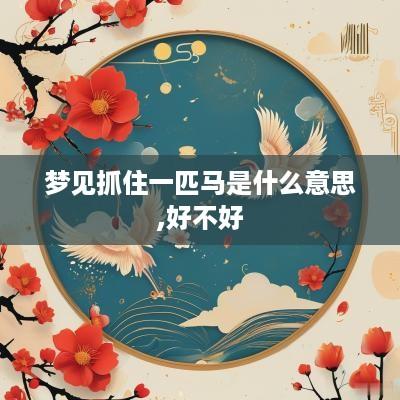 梦见抓住一匹马是什么意思,好不好