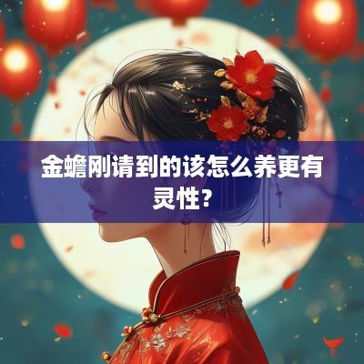 金蟾刚请到的该怎么养更有灵性？