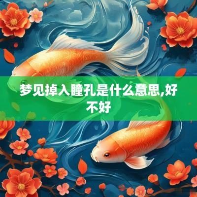 梦见掉入瞳孔是什么意思,好不好